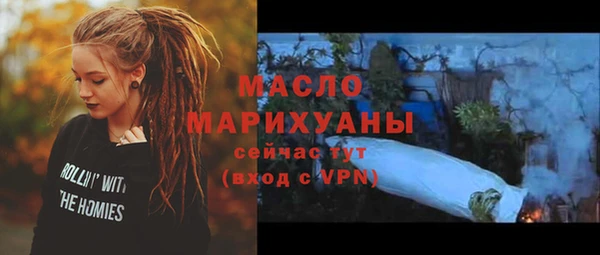 молекула духа Волоколамск