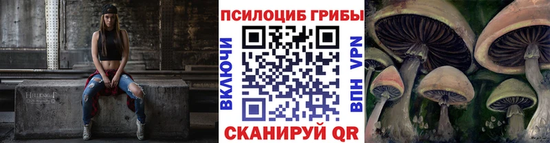 наркота  Мариинск  Галлюциногенные грибы Psilocybe 