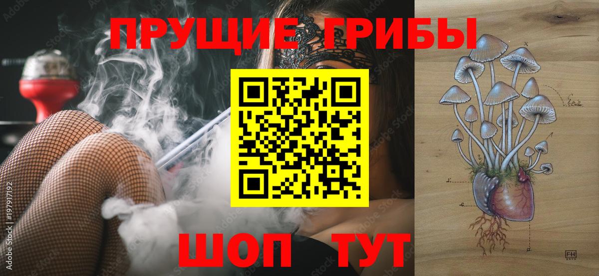 Мариинск  Псилоцибиновые грибы мицелий  Вход с VPN 